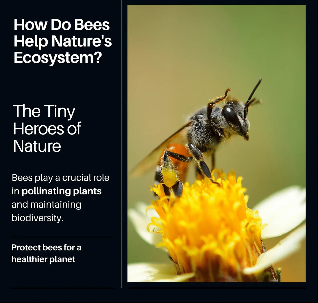 How Do Bees Help Nature in the Philippines - Luxzerna Candles & Wax Melts PH