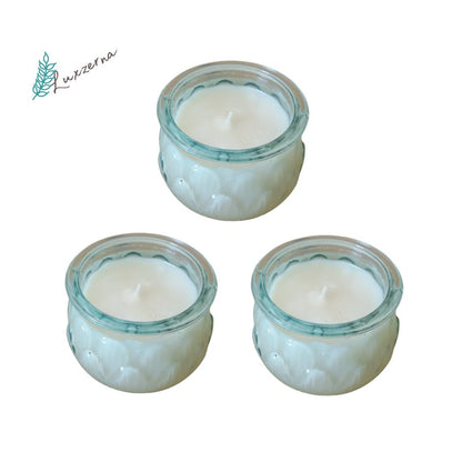 100ml Unscented Pure Organic Soy Candles - Luxzerna Candles & Wax Melts PH