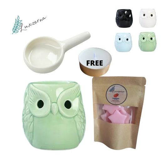 Light Green Big Owl Ceramic Burner w/ 30g Wax Melts & Tealight Spoon w/ FREE TEALIGHT - Luxzerna Candles & Wax Melts PH