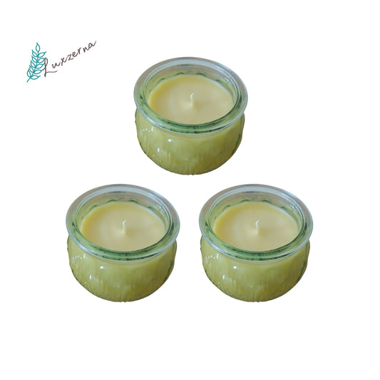 Luxzerna 100ml Unscented Pure Organic Beeswax Candles in clear glass jars set of three